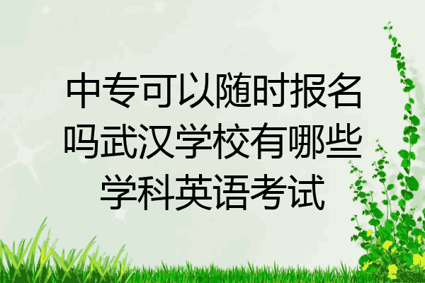 中专可以随时报名吗武汉学校有哪些学科英语考试