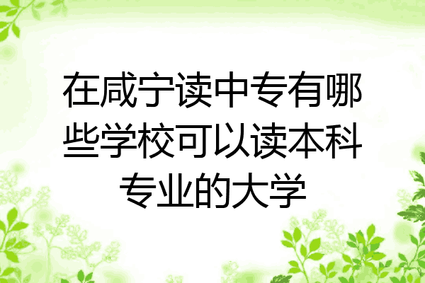 在咸宁读中专有哪些学校可以读本科专业的大学
