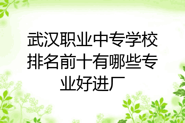武汉职业中专学校排名前十有哪些专业好进厂
