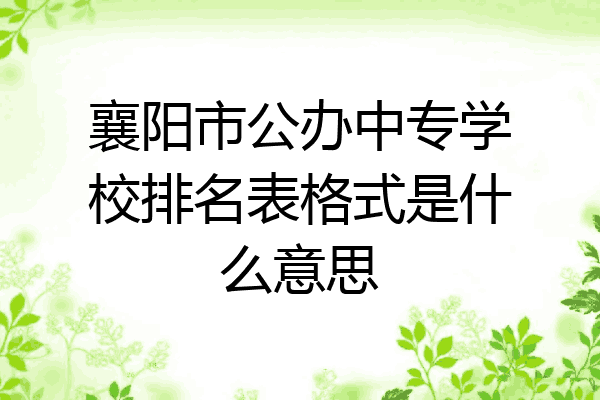 襄阳市公办中专学校排名表格式是什么意思