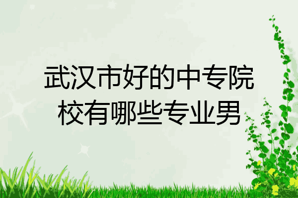 武汉市好的中专院校有哪些专业男