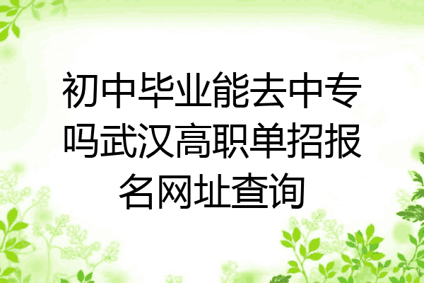 初中毕业能去中专吗武汉高职单招报名网址查询
