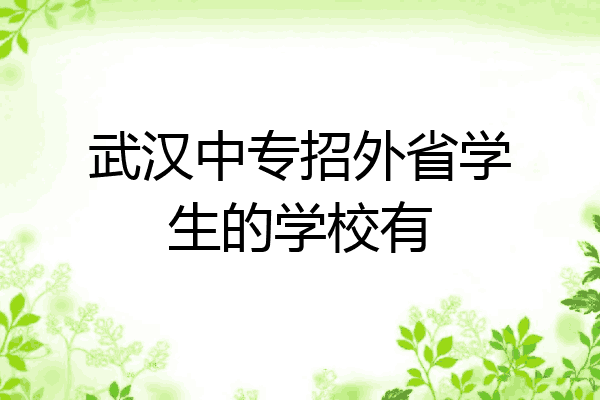 武汉中专招外省学生的学校有