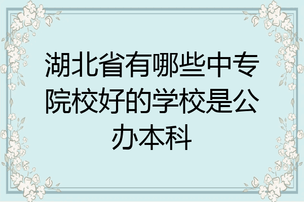 湖北省有哪些中专院校好的学校是公办本科