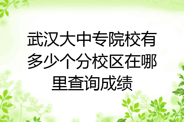 武汉大中专院校有多少个分校区在哪里查询成绩