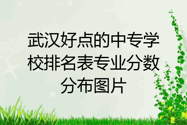 武汉好点的中专学校排名表专业分数分布图片