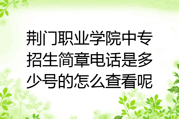 荆门职业学院中专招生简章电话是多少号的怎么查看呢