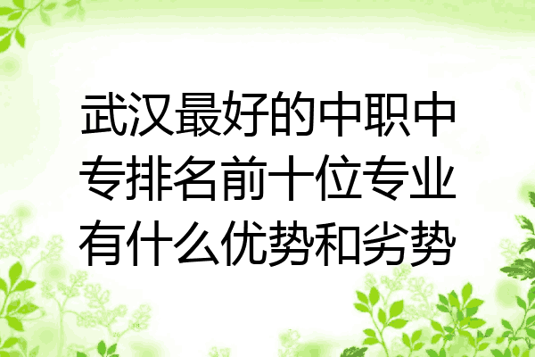 武汉最好的中职中专排名前十位专业有什么优势和劣势