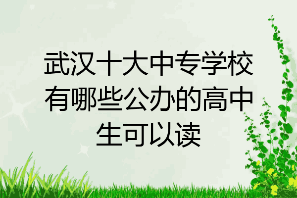 武汉十大中专学校有哪些公办的高中生可以读