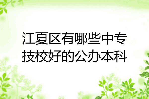 江夏区有哪些中专技校好的公办本科
