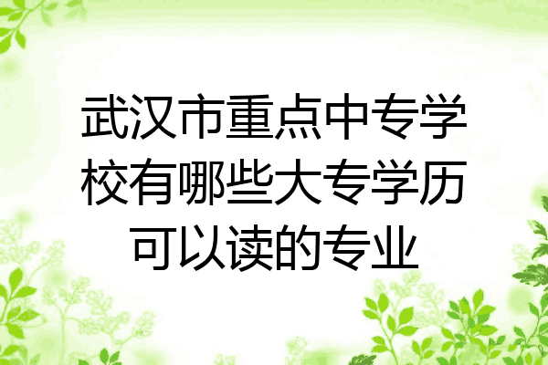 武汉市重点中专学校有哪些大专学历可以读的专业
