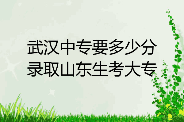 武汉中专要多少分录取山东生考大专