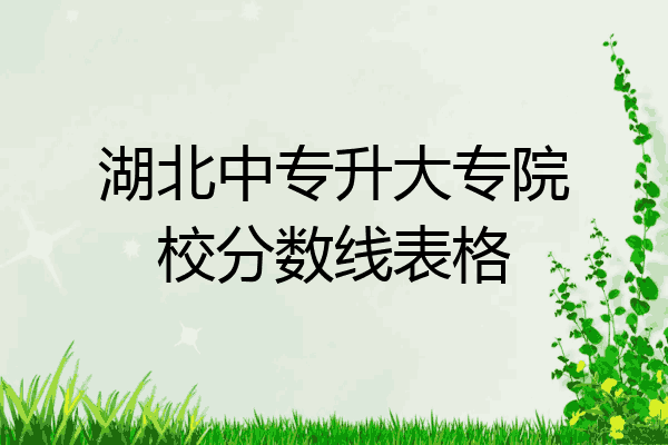湖北中专升大专院校分数线表格