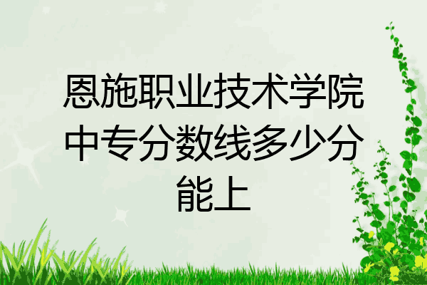 恩施职业技术学院中专分数线多少分能上