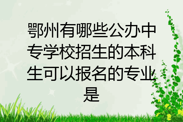 鄂州有哪些公办中专学校招生的本科生可以报名的专业是