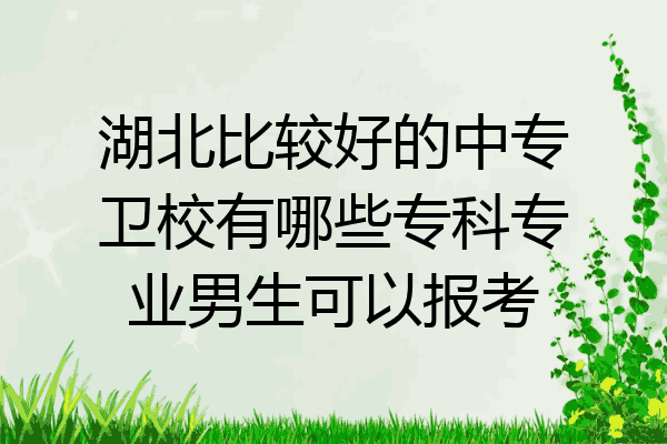 湖北比较好的中专卫校有哪些专科专业男生可以报考