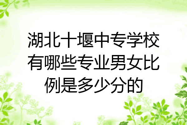 湖北十堰中专学校有哪些专业男女比例是多少分的