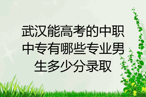 武汉能高考的中职中专有哪些专业男生多少分录取
