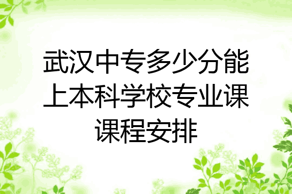 武汉中专多少分能上本科学校专业课课程安排