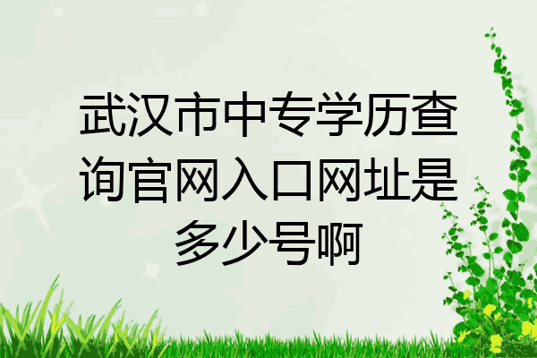武汉市中专学历查询官网入口网址是多少号啊