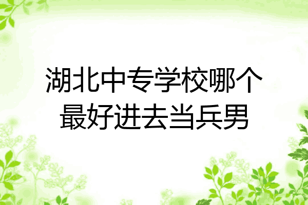 湖北中专学校哪个最好进去当兵男