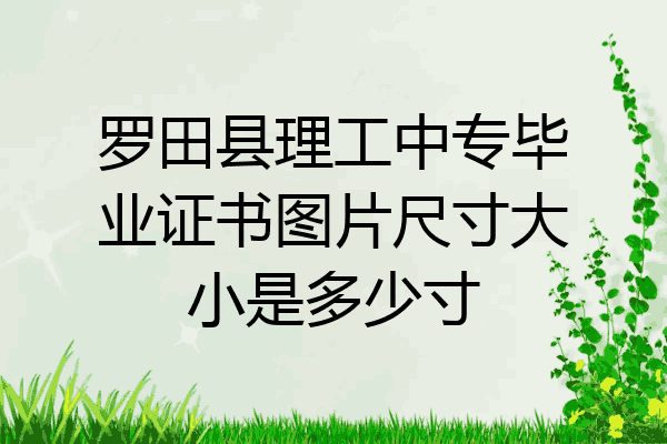 罗田县理工中专毕业证书图片尺寸大小是多少寸