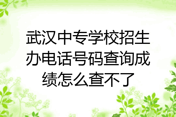 武汉中专学校招生办电话号码查询成绩怎么查不了