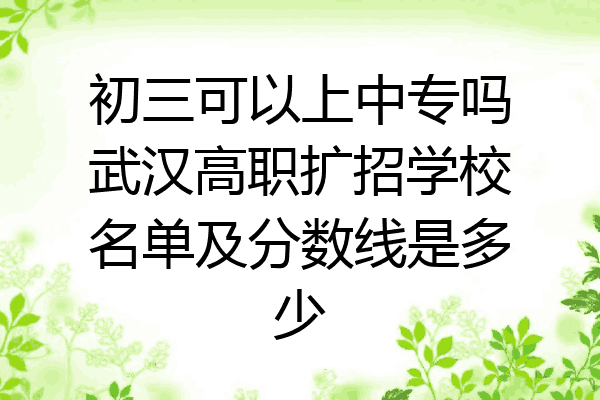 初三可以上中专吗武汉高职扩招学校名单及分数线是多少