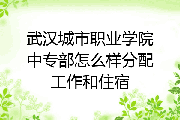 武汉城市职业学院中专部怎么样分配工作和住宿