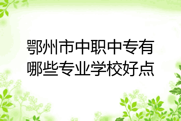 鄂州市中职中专有哪些专业学校好点