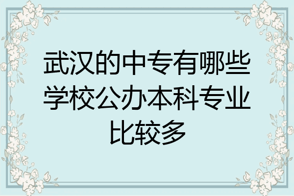 武汉的中专有哪些学校公办本科专业比较多