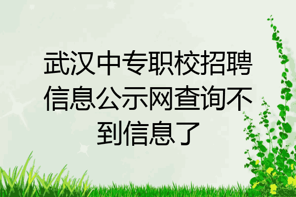 武汉中专职校招聘信息公示网查询不到信息了