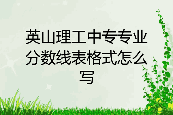 英山理工中专专业分数线表格式怎么写