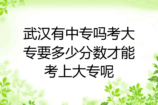 武汉有中专吗考大专要多少分数才能考上大专呢