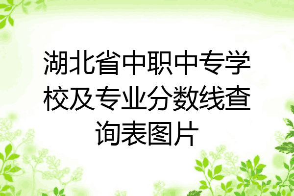 湖北省中职中专学校及专业分数线查询表图片