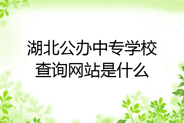 湖北公办中专学校查询网站是什么