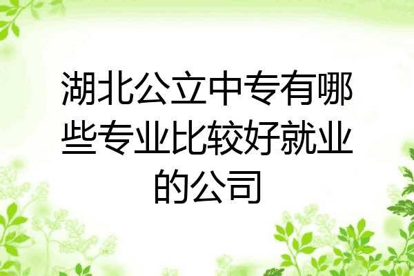 湖北公立中专有哪些专业比较好就业的公司