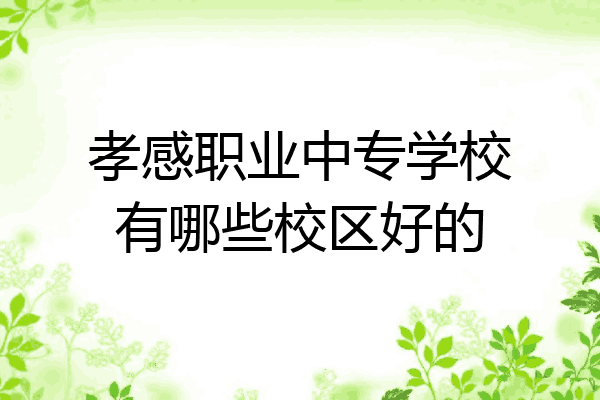 孝感职业中专学校有哪些校区好的