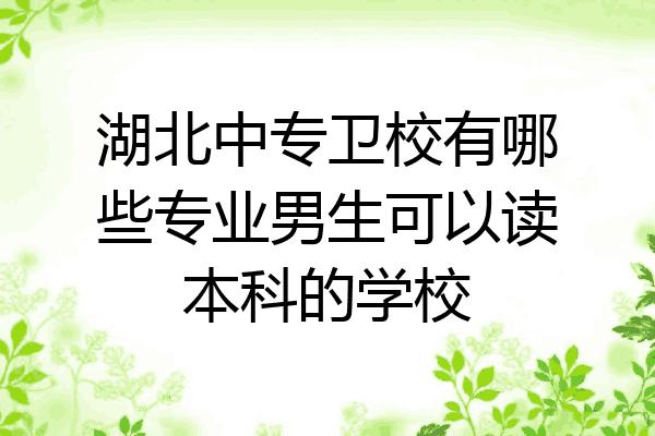 湖北中专卫校有哪些专业男生可以读本科的学校
