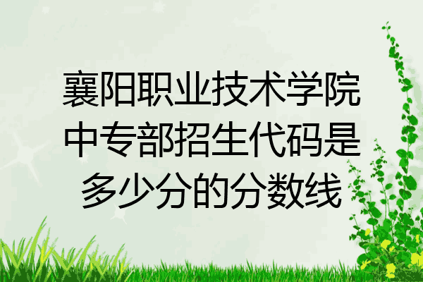 襄阳职业技术学院中专部招生代码是多少分的分数线