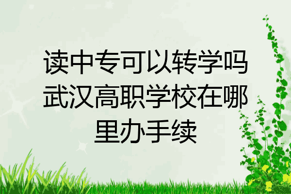 读中专可以转学吗武汉高职学校在哪里办手续