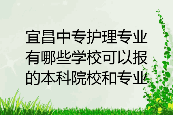宜昌中专护理专业有哪些学校可以报的本科院校和专业