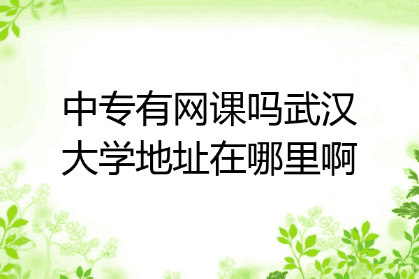 中专有网课吗武汉大学地址在哪里啊