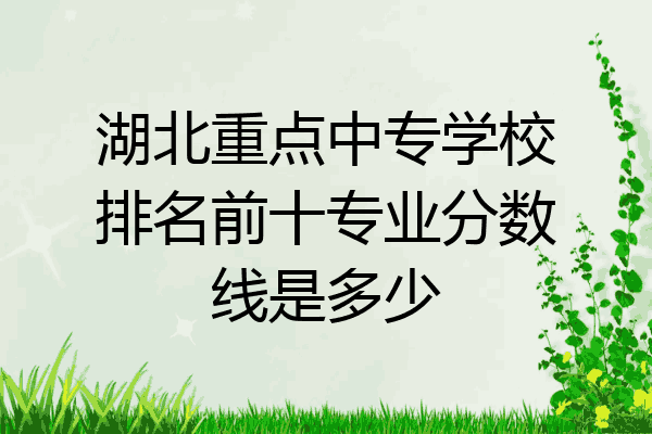 湖北重点中专学校排名前十专业分数线是多少