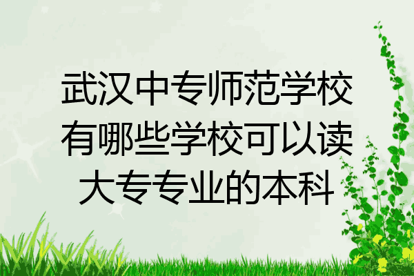 武汉中专师范学校有哪些学校可以读大专专业的本科
