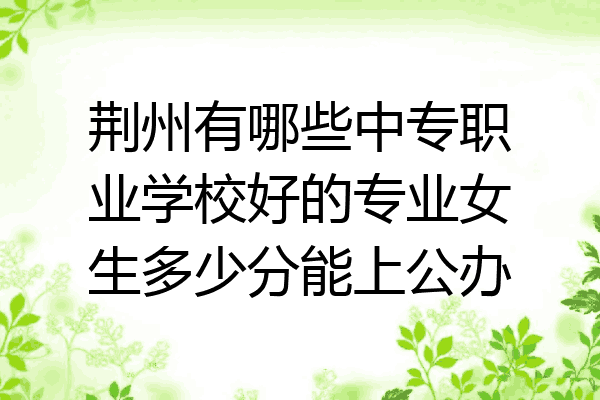 荆州有哪些中专职业学校好的专业女生多少分能上公办