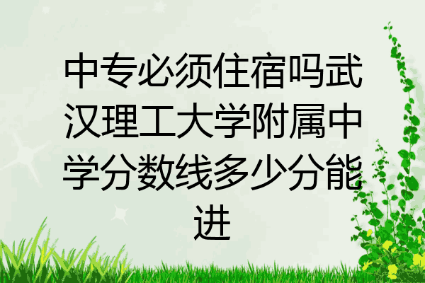 中专必须住宿吗武汉理工大学附属中学分数线多少分能进