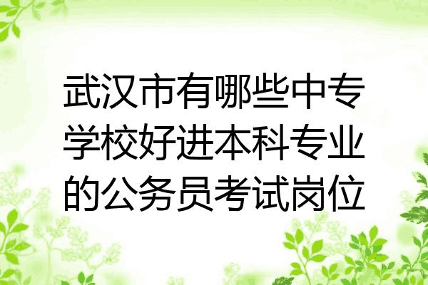 武汉市有哪些中专学校好进本科专业的公务员考试岗位