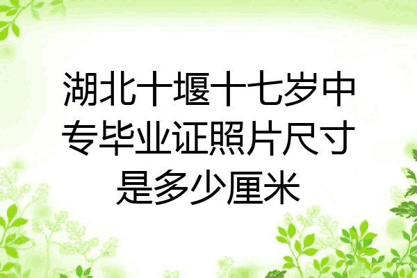 湖北十堰十七岁中专毕业证照片尺寸是多少厘米