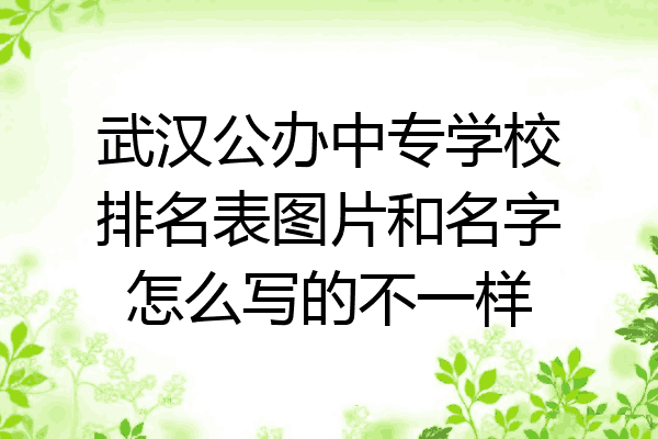武汉公办中专学校排名表图片和名字怎么写的不一样